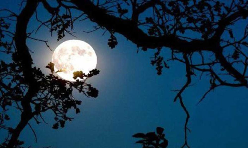 যদি হঠাৎ হারিয়ে যায় চাঁদ, কী ঘটবে পৃথিবীতে?